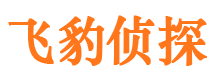 大悟外遇出轨调查取证